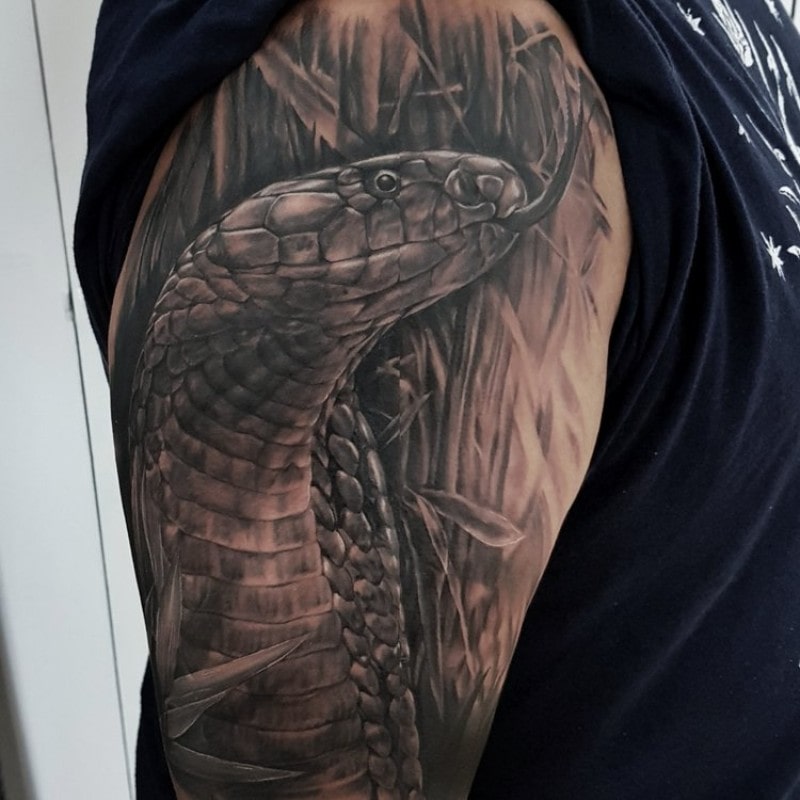 Inky Joe • Ornamental Tattoos Inspired by Wildlife 15 October 2018