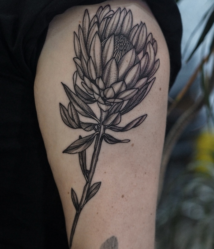 Nina • Where Linework Becomes a Garden - Ten Years of Growing Through Tattooing Nina • Where Linework Becomes a Garden - Ten Years of Growing Through Tattooing 21 December 2025